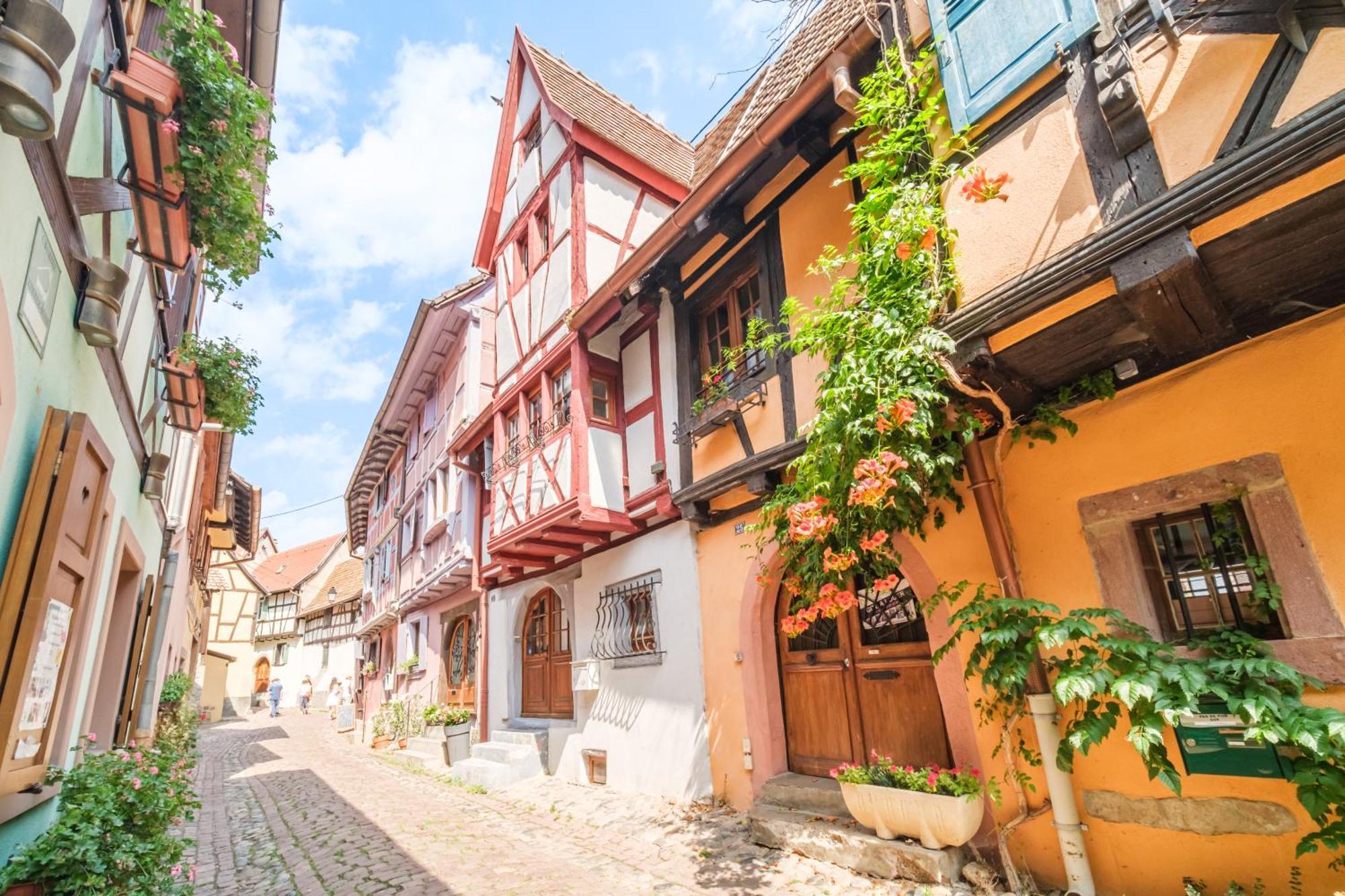 L Oriel Du Rempart Nord Eguisheim Exterior foto